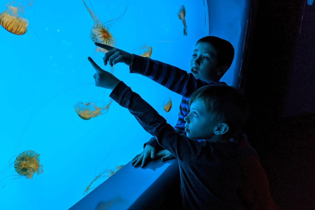 exploratorium exposition océans