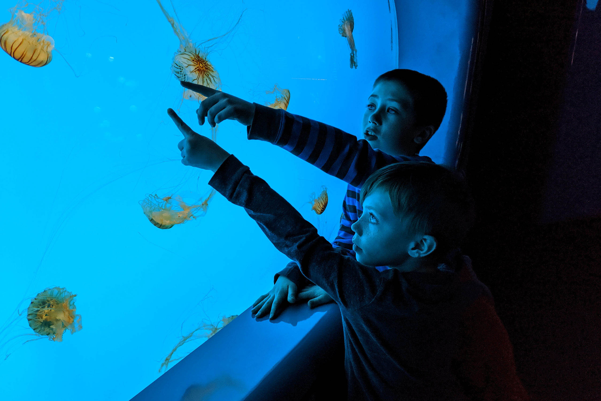 exploratorium exposition océans